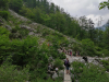 IMG_20220602_154635-Copy